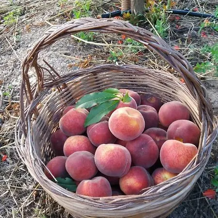 Casa Lucia Campagna Relax * دورغالي